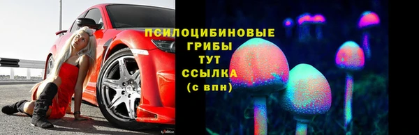 a pvp Алзамай