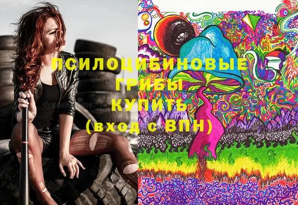 хмурый Алексеевка